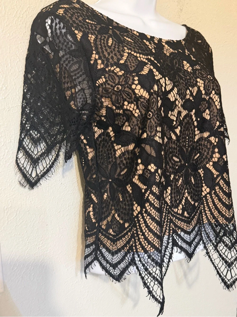Express Black Crochet Floral Eyelash Lace Overlay Victorian Crop Top Blouse Sz S